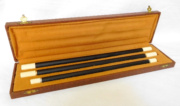 Baguette de prestidigitateur ébène, ivoire et or d'époque 1900 - objet de curiosité