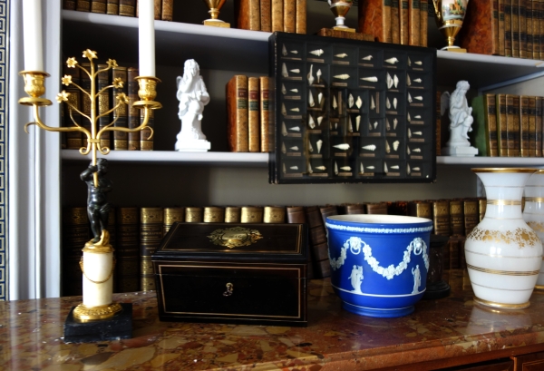 Napoleon III blackened wood and brass tea box - 19th century circa 1850