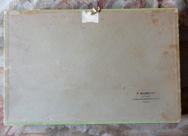 Cabinet de curiosités - collection de coquillages en coffret vitré