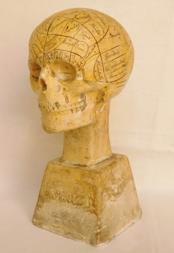 19th century plaster skull showing skills and emotions