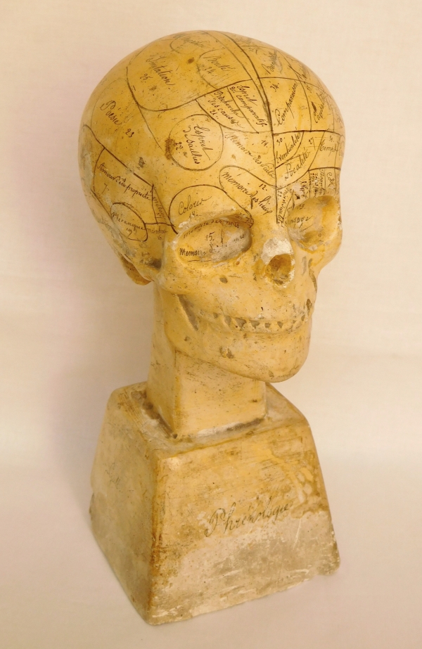 19th century plaster skull showing skills and emotions