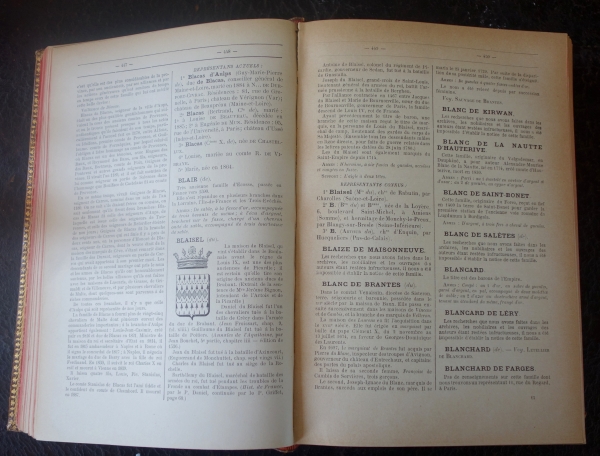 Noblesse Française - Dictionnaire Historique & Héraldique par Dayre de Mailhol, livre plein cuir doré petits fers