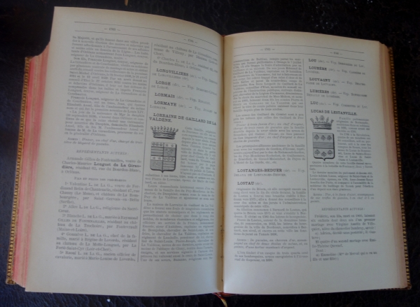 Noblesse Française - Dictionnaire Historique & Héraldique par Dayre de Mailhol, livre plein cuir doré petits fers