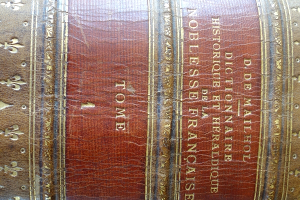 Noblesse Française - Dictionnaire Historique & Héraldique par Dayre de Mailhol, livre plein cuir doré petits fers