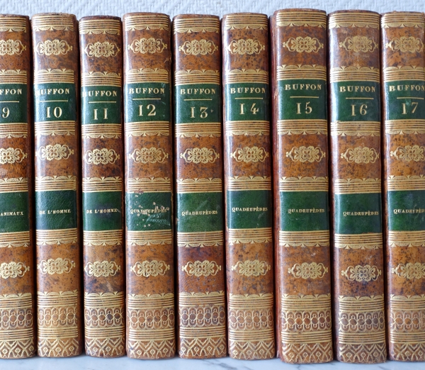 Les Oeuvres Complètes de Buffon en 26 volumes - belle reliure plein cuir - 1829