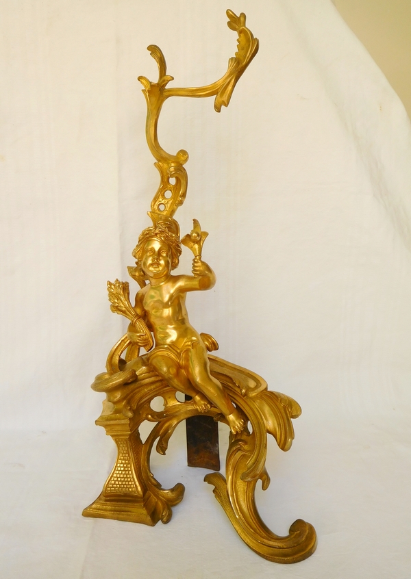 Pair of Louis XV style ormolu andirons, mid 19th century production