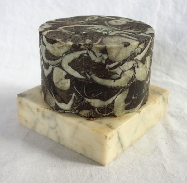 Breche marble base, Louis XVI style, 20th century Italian production