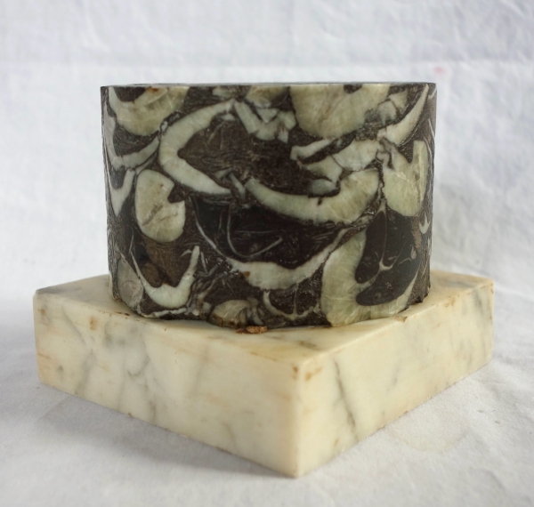 Breche marble base, Louis XVI style, 20th century Italian production