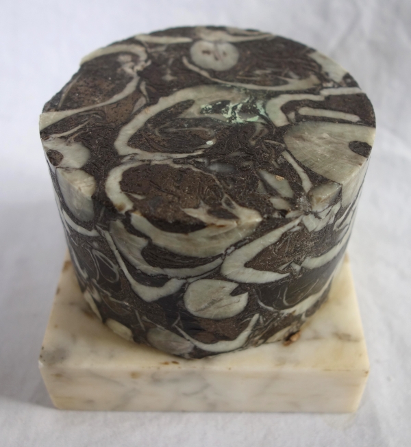 Breche marble base, Louis XVI style, 20th century Italian production