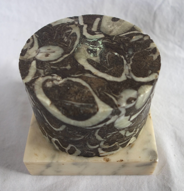 Breche marble base, Louis XVI style, 20th century Italian production