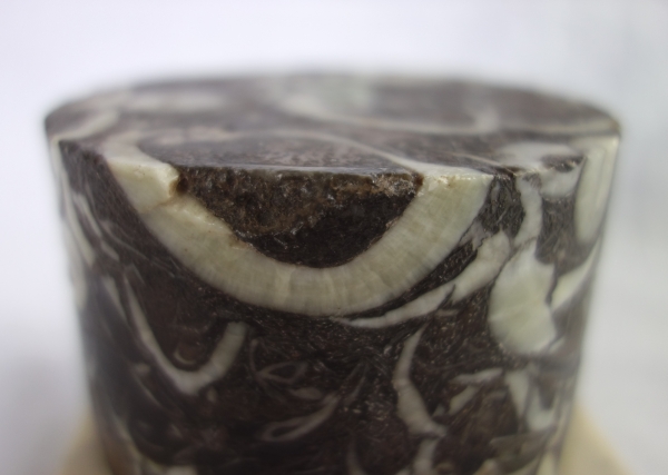 Breche marble base, Louis XVI style, 20th century Italian production