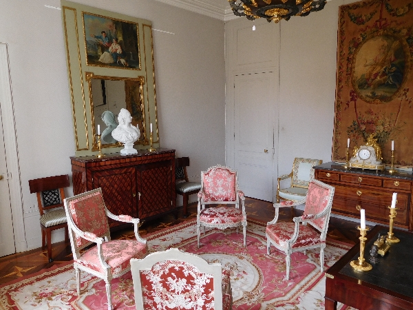 Louis XVI style Aubusson carpet, 19th century - Napoleon III production - 380cm x 270cm