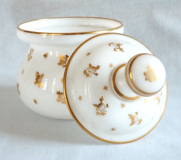 Baccarat : opaline water set enhanced with fine gold, Napoleon III production circa 1860