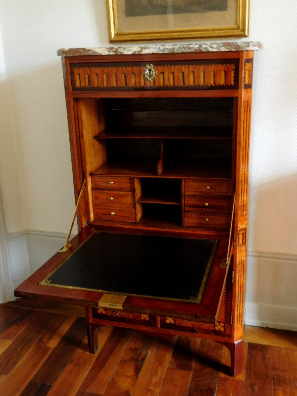 Rich marquetry Secretary - Courte in Dijon, France, Louis XVI production, late 18th century circa 1780