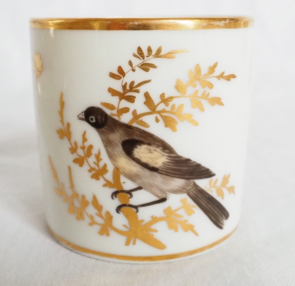 Brussels porcelain coffee set : 6 coffee cups gilt with fine gold and polychromatic birds circa 1800