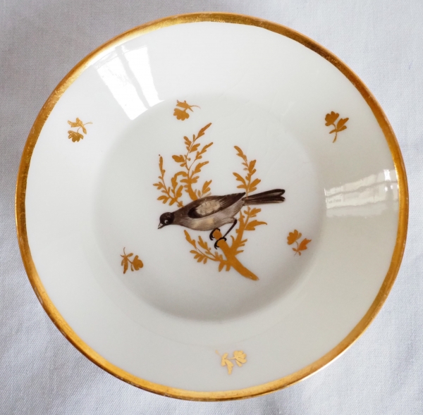 Brussels porcelain coffee set : 6 coffee cups gilt with fine gold and polychromatic birds circa 1800