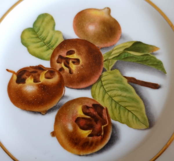 Darte Palais Royal N°21 - Empire porcelain plate decorated with medlars - signed