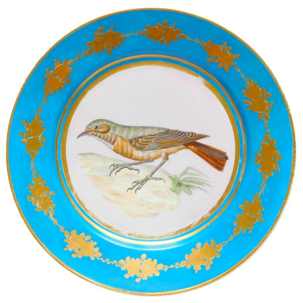 Sevres porcelain plate enhanced with fine gold, polychrom bird decoration, 1867 - 19th century