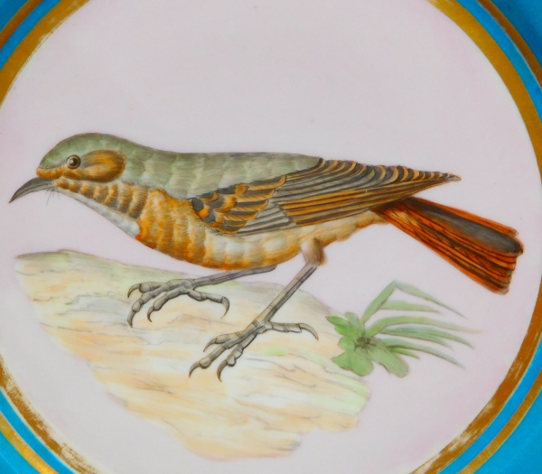 Sevres porcelain plate enhanced with fine gold, polychrom bird decoration, 1867 - 19th century