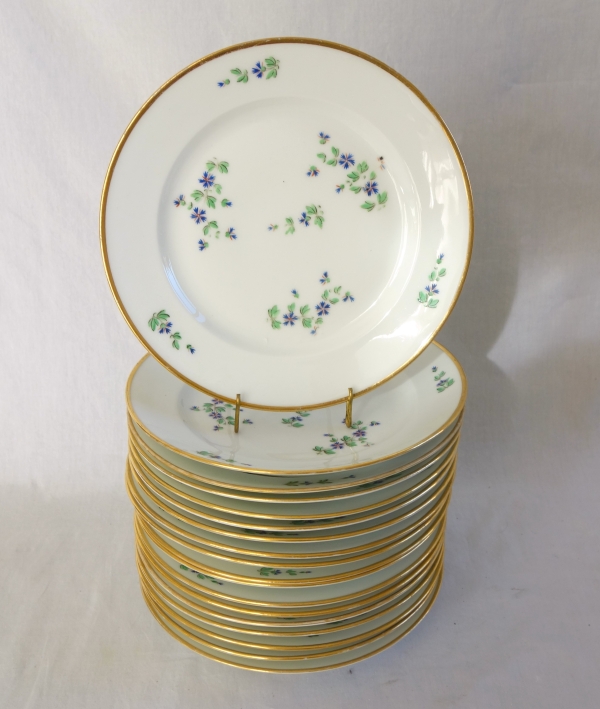 Dihl et Guerhard Manufacture : Louis XVI style table set - 43 pieces - Empire period