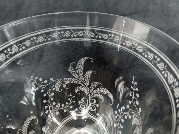 Coupe à champagne en cristal de Baccarat, modèle Fougères