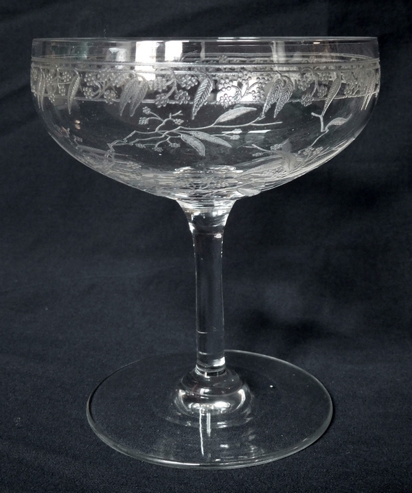 Coupe à champagne en cristal de Baccarat, modèle Mimosas