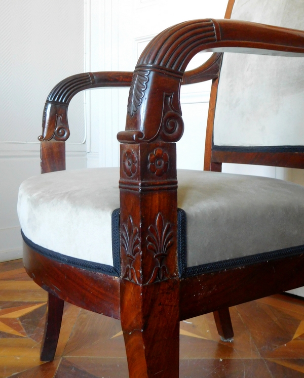 Empire desk armchair, finely sculpted mahogany, grey velvet, early 19th century