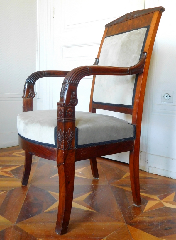 Empire desk armchair, finely sculpted mahogany, grey velvet, early 19th century