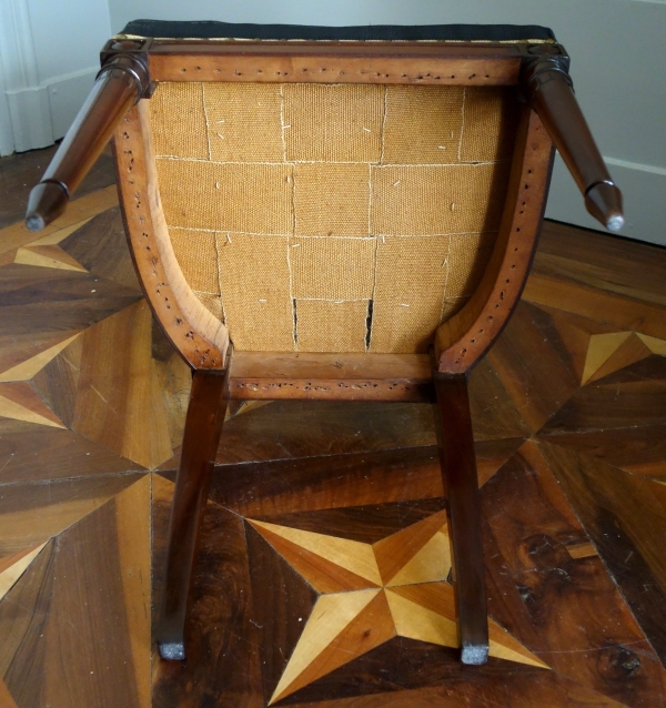 Paire de chaises à l'étrusque en acajou d'époque Directoire, couverture en crin de cheval