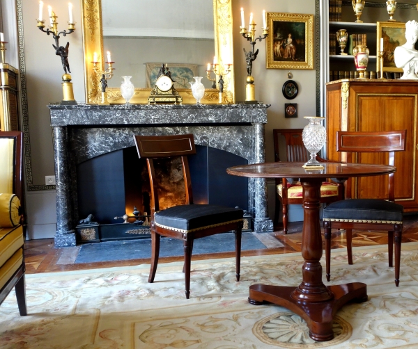 Paire de chaises à l'étrusque en acajou d'époque Directoire, couverture en crin de cheval