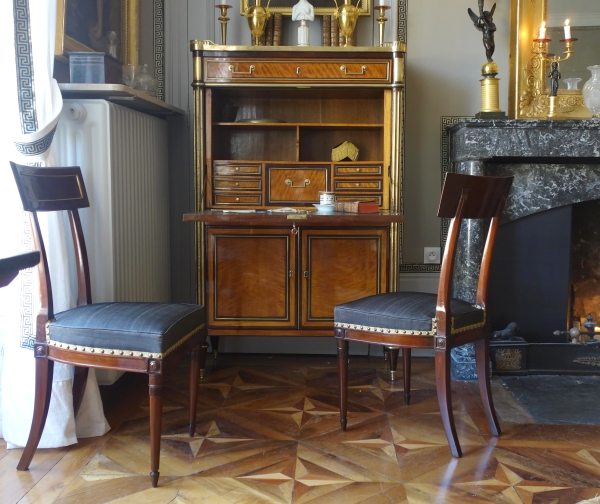 Paire de chaises à l'étrusque en acajou d'époque Directoire, couverture en crin de cheval