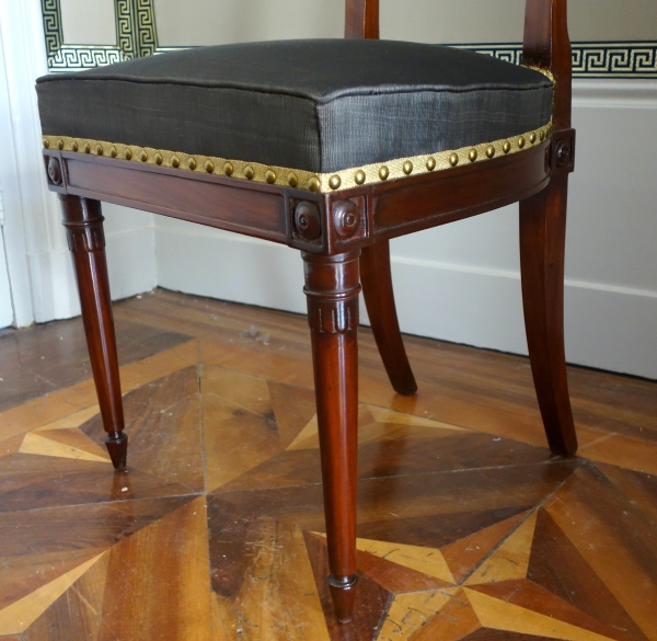 Paire de chaises à l'étrusque en acajou d'époque Directoire, couverture en crin de cheval