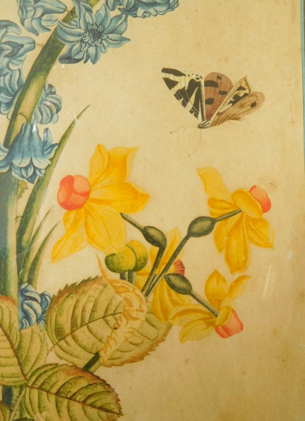 Ecole de Pierre-Joseph Redouté, bouquet de fleurs, aquarelle et gouache, époque Empire