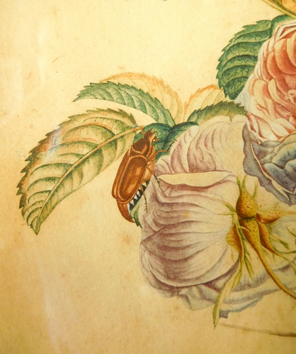 Ecole de Pierre-Joseph Redouté, bouquet de fleurs, aquarelle et gouache, époque Empire