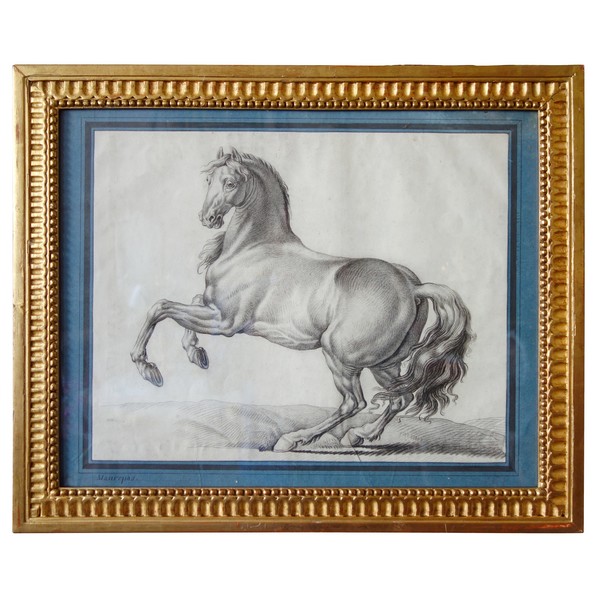 18th century French school : portrait drawing of a prancing horse after Van Der Meulen