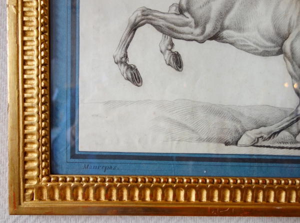Ecole française du XVIIIe siècle, portrait dessin de cheval cabré d'après Van Der Meulen