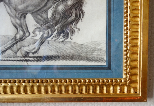 18th century French school : portrait drawing of a prancing horse after Van Der Meulen