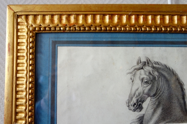 Ecole française du XVIIIe siècle, portrait dessin de cheval cabré d'après Van Der Meulen