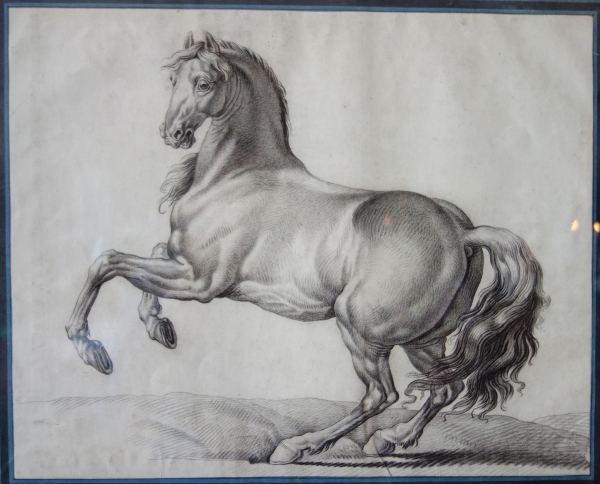 Ecole française du XVIIIe siècle, portrait dessin de cheval cabré d'après Van Der Meulen