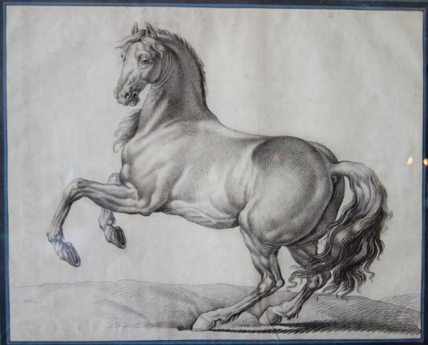 18th century French school : portrait drawing of a prancing horse after Van Der Meulen