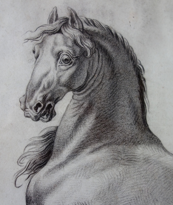 Ecole française du XVIIIe siècle, portrait dessin de cheval cabré d'après Van Der Meulen