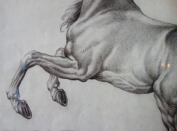 Ecole française du XVIIIe siècle, portrait dessin de cheval cabré d'après Van Der Meulen