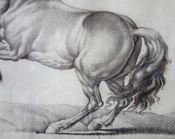 18th century French school : portrait drawing of a prancing horse after Van Der Meulen