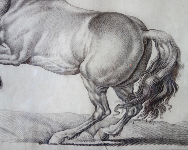 Ecole française du XVIIIe siècle, portrait dessin de cheval cabré d'après Van Der Meulen