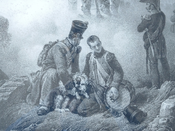 Large Empire engraving : Injured dog on the battlefield - gold leaf gilt frame