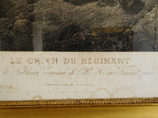 Grande gravure napoléonienne par Vernet : le Chien Du Régiment, cadre en bois doré époque Empire