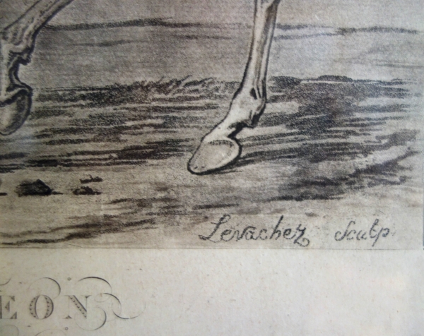 Napoléon à cheval, gravure colorisée d'après Carle Vernet - cadre en bois doré d'époque Empire