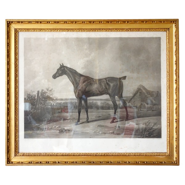 Large thoroughbred engraving after Carle Vernet, 19th century - 92cm x 77cm