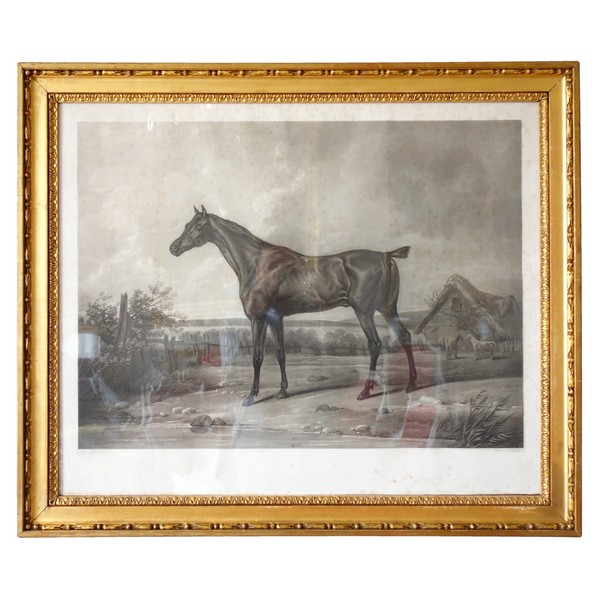 Grande gravure lithographie cheval pur sang d'après Carle Vernet - 92cm x 77cm