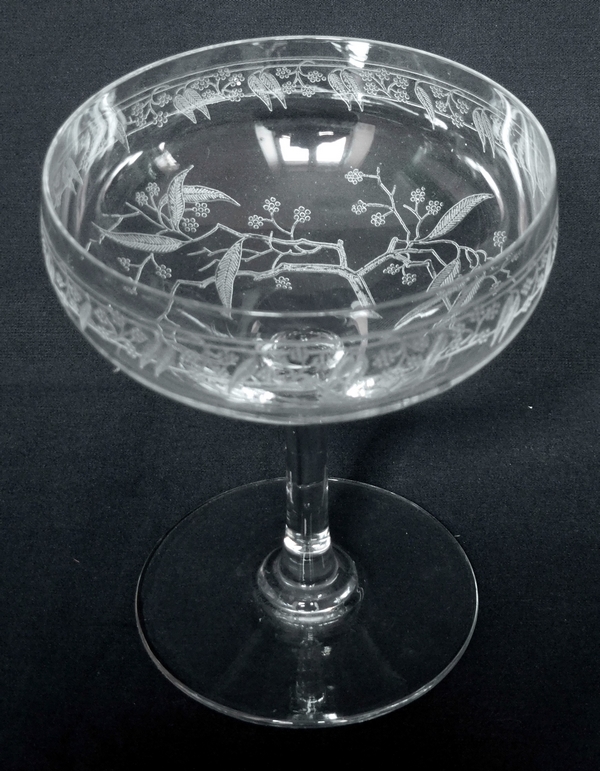 Détail — Coupe à champagne en cristal de Baccarat, modèle Mimosas